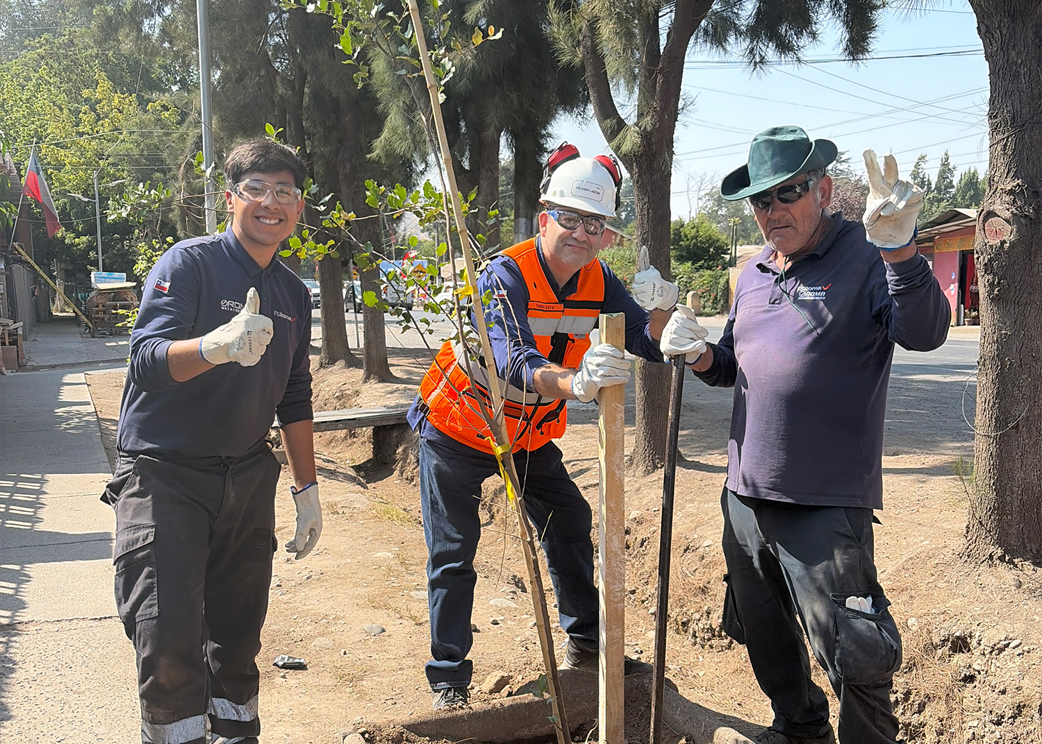 Transformando excedentes en reforestación